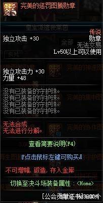 玩地下城私服什么意思 玩地下城私服什么意思