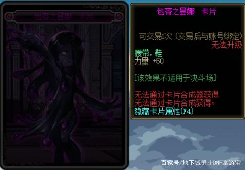 玩地下城私服什么意思